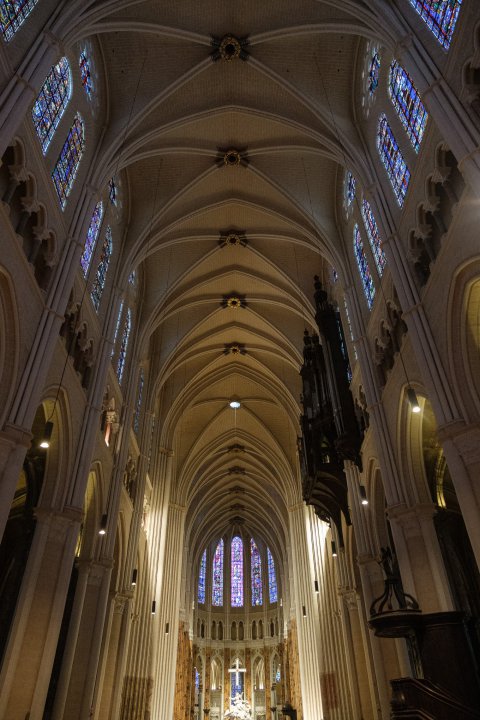 chartres cathedral vaults