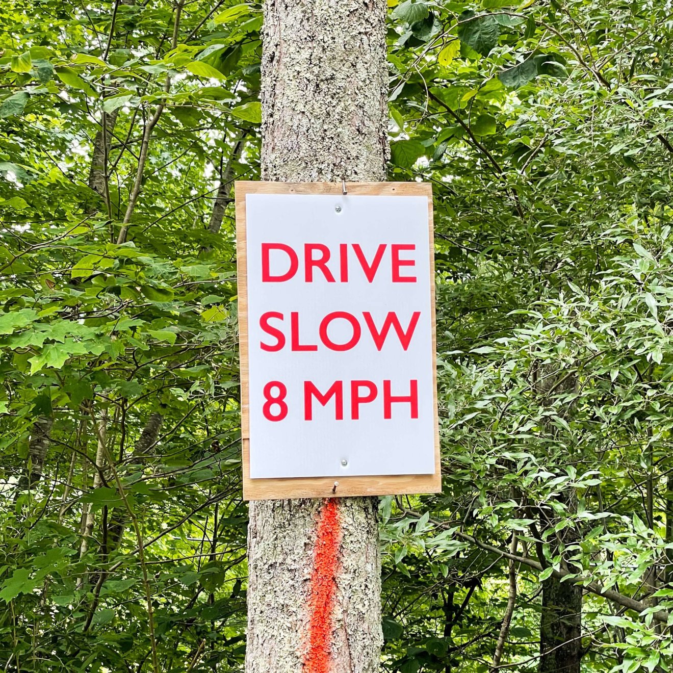 Drive slow 8 mph