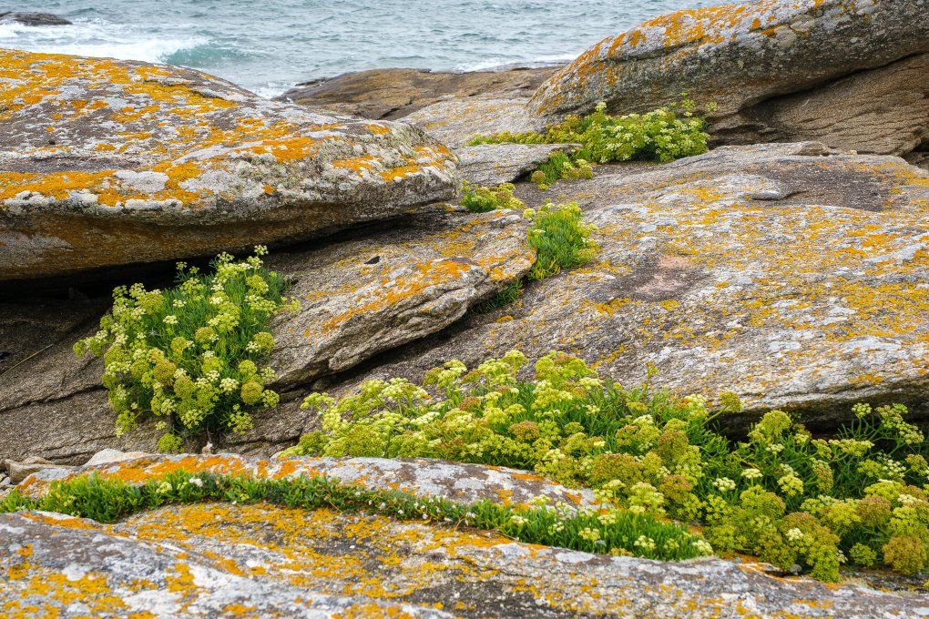 Pointe du Conguel