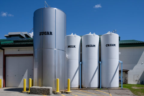 Sugar, milk, and cream containers